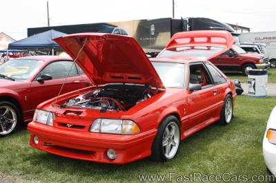 MUSTANG MUSTANG